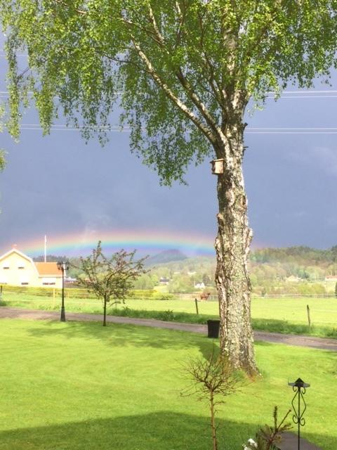Dubbelrum